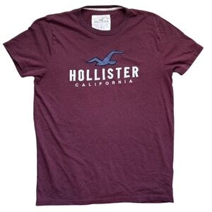 Y2K Hollister Spellout California Burgundy Short Sleeve Graphic T Shirt Size M